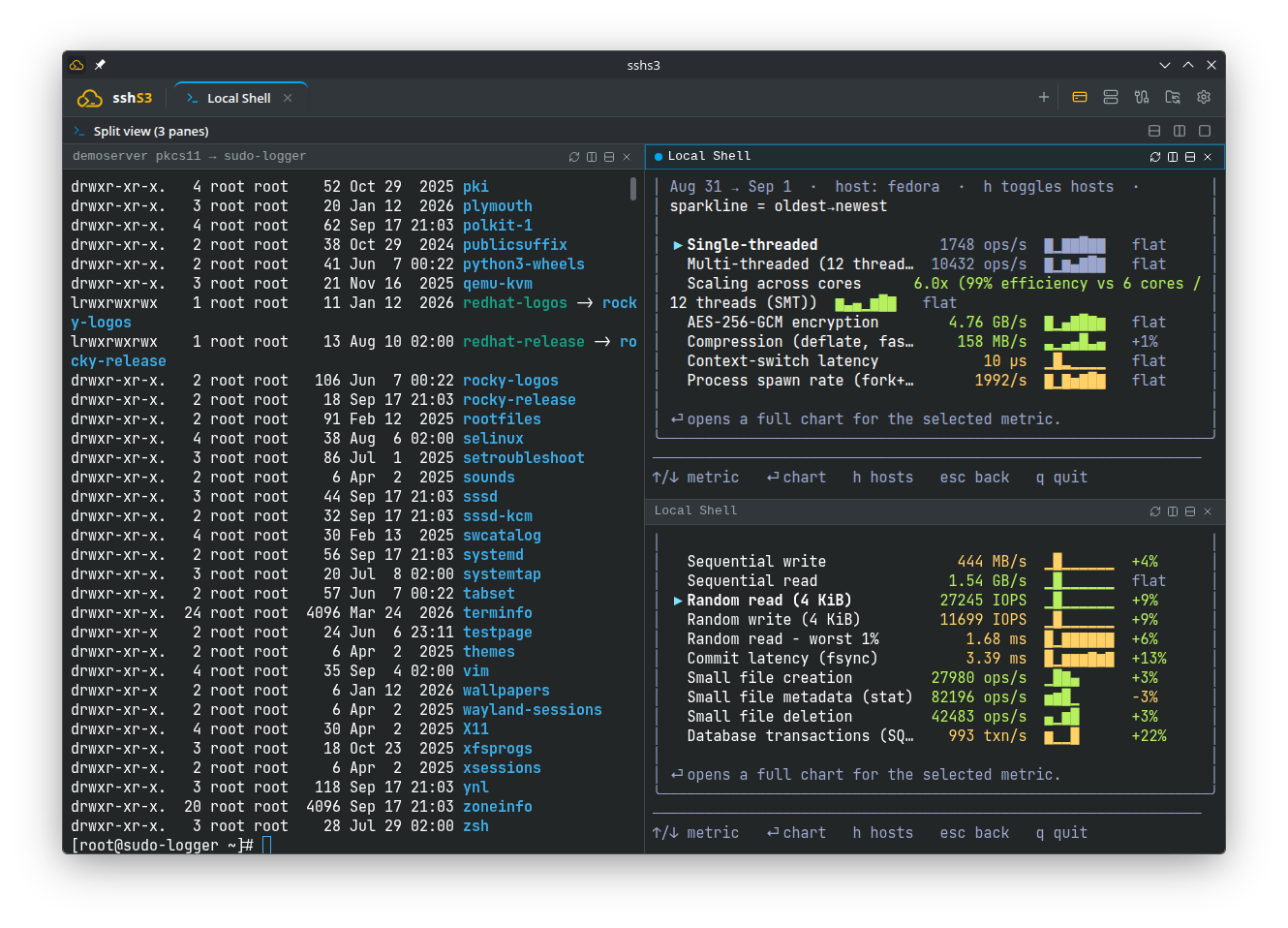 Three split panes: a remote SSH session, a local shell and a second SSH session